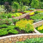 Sustainable Garden Design: Eco-Friendly Makeover Ideas
